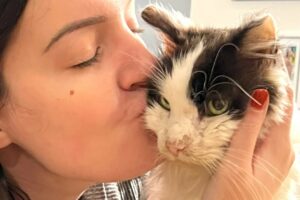 A shelter cat's fairy tale ending