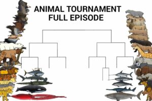 ANIMAL TOURNAMENT FULL EPISODE - ANIMATION