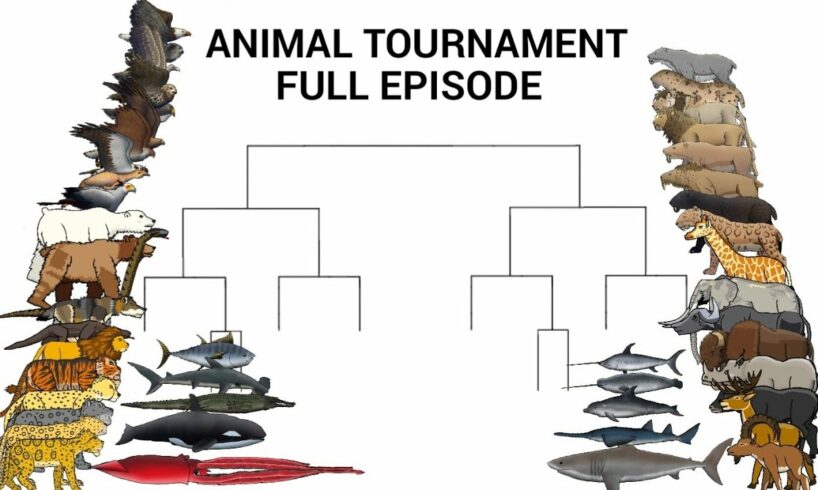 ANIMAL TOURNAMENT FULL EPISODE - ANIMATION