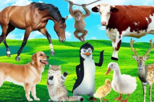 Amazing familiar animals playing sounds: cats, elephant, dog, cows, fish colors, chickens, horses