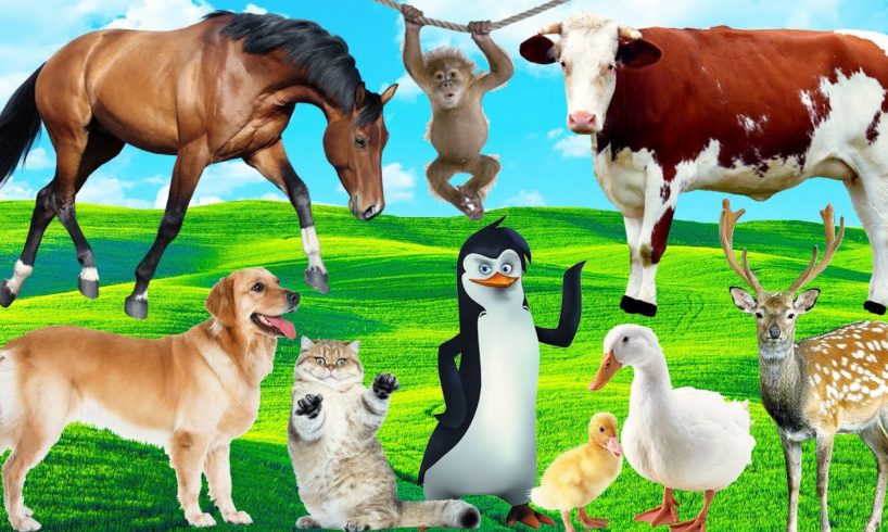 Amazing familiar animals playing sounds: cats, elephant, dog, cows, fish colors, chickens, horses