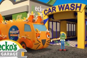 Andy The Animal Ambulance | Gecko 2D | Learning Videos for Kids