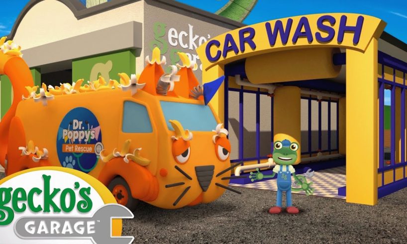 Andy The Animal Ambulance | Gecko 2D | Learning Videos for Kids