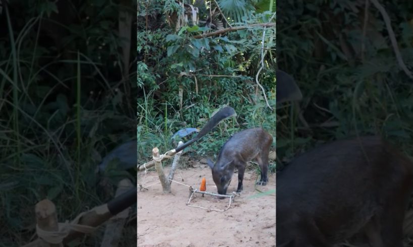 Animal Rescue in Village đąđą|| #viral #shortsfeed #shorts #animals #wildlife