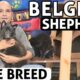 Belgian Shepherd Puppies - All About Rare Dog Breed | Funny & Cute Puppies Video | Baadal Bhandaari