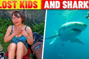Bondi Rescue's Best Lost Kids and Shark Sightings Compilation