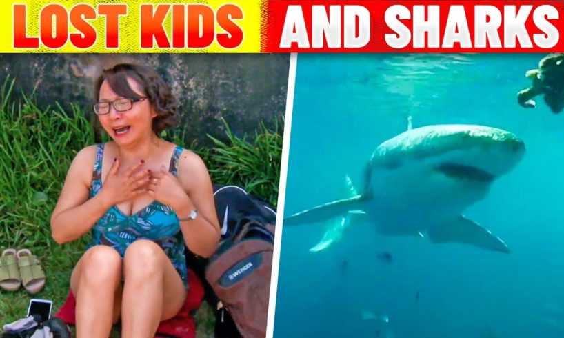 Bondi Rescue's Best Lost Kids and Shark Sightings Compilation