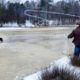 Cowboy saves calf with incredible lasso throw