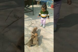 Cute Baby with Cute Puppies 🐶 #shortsfeed #cute #ytshorts #trending #viral