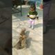 Cute Baby with Cute Puppies 🐶 #shortsfeed #cute #ytshorts #trending #viral