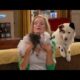 Dog With A Blog - Cute Puppies! - Official Disney Channel UK HD
