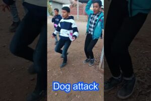 Dog attack #viral #dogbarking #viralshorts #youtubeshorts sound #pets #puppy #puppies #shorts