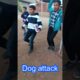 Dog attack #viral #dogbarking #viralshorts #youtubeshorts sound #pets #puppy #puppies #shorts