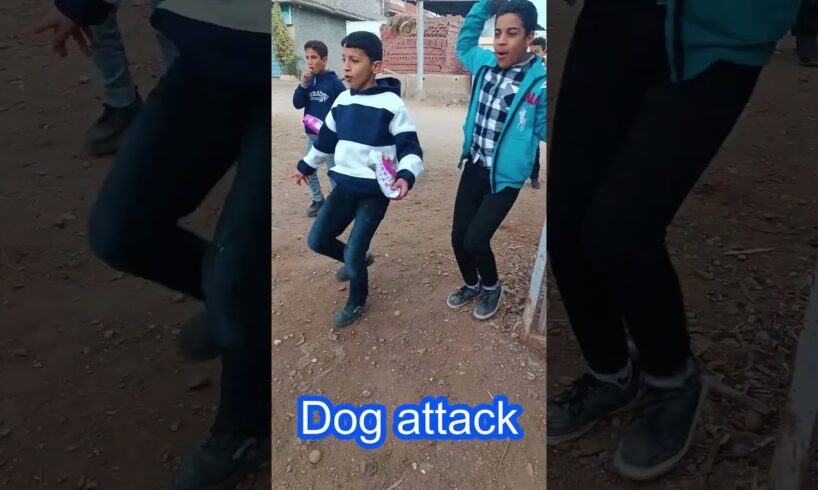 Dog attack #viral #dogbarking #viralshorts #youtubeshorts sound #pets #puppy #puppies #shorts