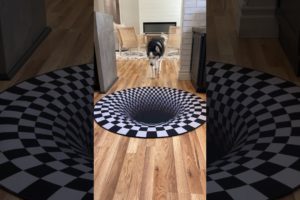 Dogs funny reaction to entering optical illusion rug! #shorts