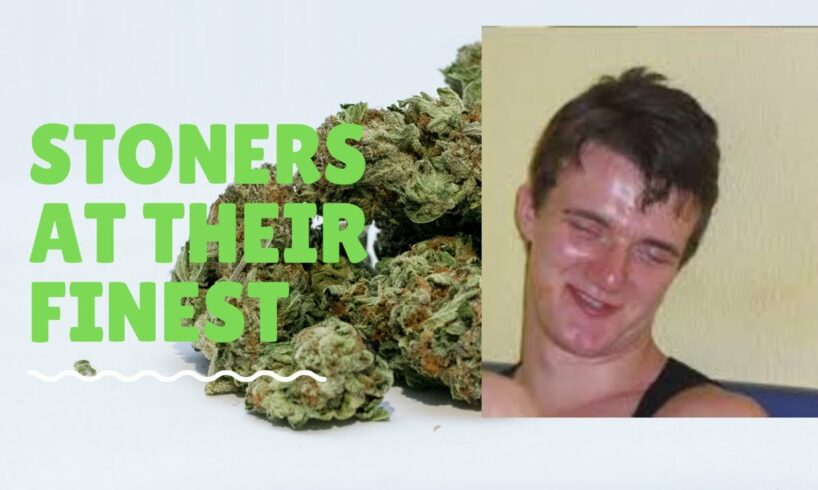 Fatal STONED & WEED MEMES- Compilation(fail) SWE