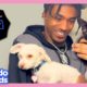 Football Player Rescues Puppy AND Kitten?! | Dodo Kids | Rescued!