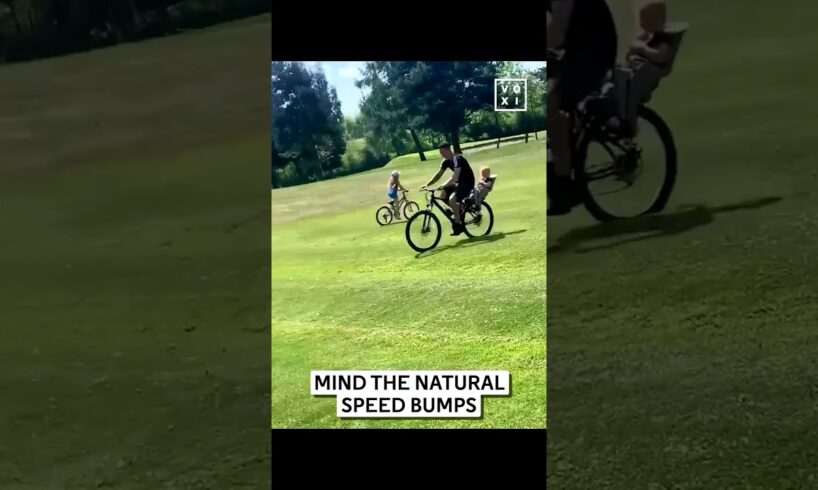 Funniest Fails Of The Week | Memes I Found On The Internet #fail #meme