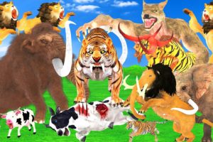 Giant Tiger Lion Wolf Attack Cow Cartoon Saved by Tiger Bull Woolly Mammoth Elephant Vs Monster Lion