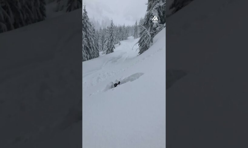 Guy Jumps off Snowmobile Into Deep Snow
