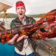 How Lobstermen Trap Giant Lobsters in Maine!!
