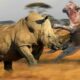 Incredible, Action-Packed Animal Fights Captured on Camera!  Wild Animal Documentary.