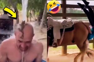 Instant Regret | Best Fails of the Week | Funny Fails Compilation | funtush