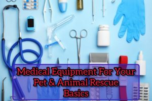 Instruments and Medical Equipment For Pet animals and Animal Rescue | Basic Level