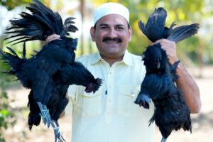 KADAKNATH MURGA | Kadak Nath Murga Ka First Experience | Black Chicken Curry | BLACK CHICKEN RECIPE