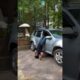 Man Enters Car While Doing Handstand
