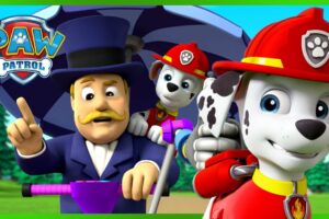 Marshall Rescues for Over 1 Hour! 🔥 | PAW Patrol | Cartoons for Kids Compilation