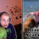 NebelNiek reagiert auf Near death captured by GoPro | NebelNiek react