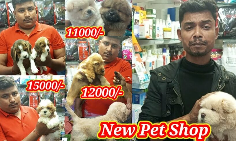 New dogs puppies pets shop in kolkata india😯cute puppies dog price 😯Show quality Dog market😯Cheapest