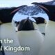 One Hour Of Love In The Animal Kingdom | BBC Earth