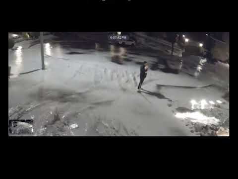 Owner Rescues Chihuahua Sliding on Snowy Driveway - 1484651-2