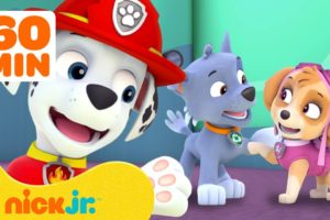 PAW Patrol Friendship Adventures & Rescues! w/ Marshall and Skye | 1 Hour Compilation | Nick Jr.