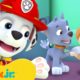 PAW Patrol Friendship Adventures & Rescues! w/ Marshall and Skye | 1 Hour Compilation | Nick Jr.