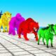 Paint Animals Duck Pig Tiger Gorilla Lion Cow Elephant  Fountain Crossing Animal Game New