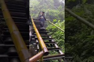 People Are Dumb #shorts Fails of the Week #7 #viral #shorts