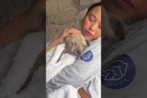 Puppy was found lying in a pile of dirt in an empty garage where he found refuge