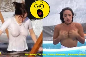 Random Funny Videos |Best Fails of the Week 2023 | Cute People And Animals Doing Funny Things P51