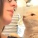 Rescue cat's obsessed with mom