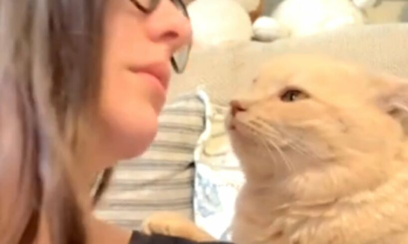 Rescue cat's obsessed with mom