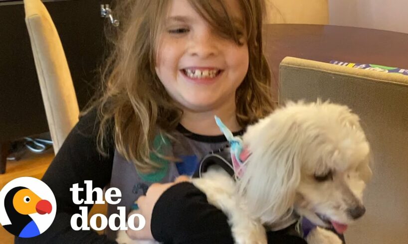 She's Allergic To Dogs — Watch Her Dad Find Her The Perfect Rescue Pup! | The Dodo Adoption Day