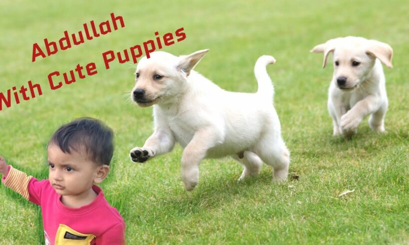 Sunday Morning With Cute Puppies 🐕| Abdullah Chill With Cute Puppies 🐕