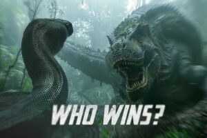 T-Rex vs Titanoboa and Other Brutal Animal Fights