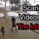 The Most Shocking And Disturbing videos On The Internet | Scary Comp v60