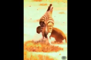 The zebra fights with the lioness and saves himself #animals #zebra