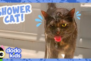 This Cat’s Loved Showers Since She Was A Kitten | Dodo Kids | Animal Videos