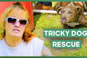 Tia's Team Rescues A Terrified Dog From A Shed | Pit Bulls & Parolees